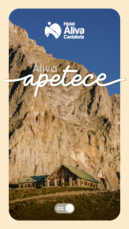 Hotel Áliva apetce carrousel