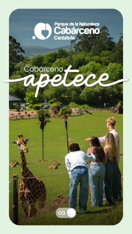 Cabárceno apetece carrousel